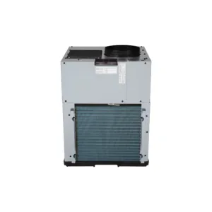GE Zoneline V10 Electric Heat VTAC - 12,000 BTU - 208/230 V
